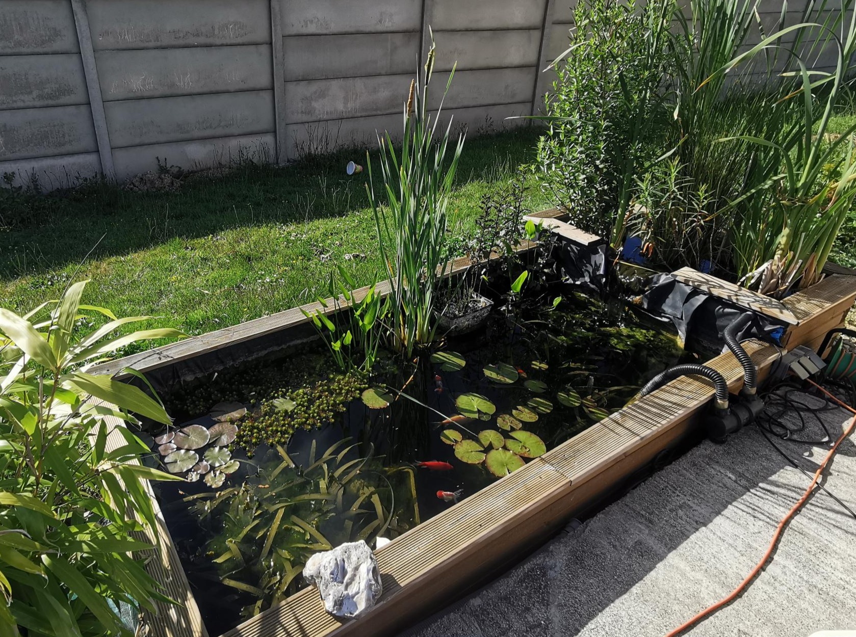 Description projet 1